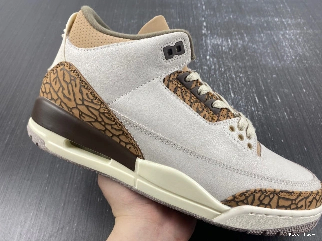 Kicktheory 3 Air Jordan Palomino CT8532-102 0815